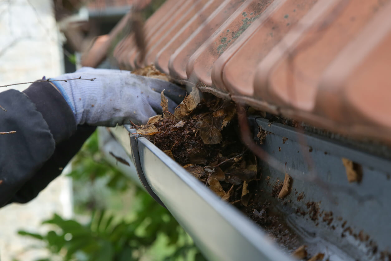 cleaning-rain-gutter Cleaning the gutter from autumn leaves before winter season. Roof gutter cleaning process.