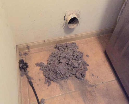 lint-from-dryer-large